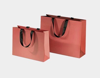 Shopping bag packaging design 5